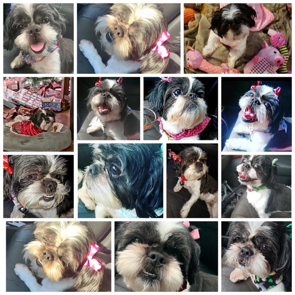 Happy Day!   lol.   😂 - Picture 16 of 16